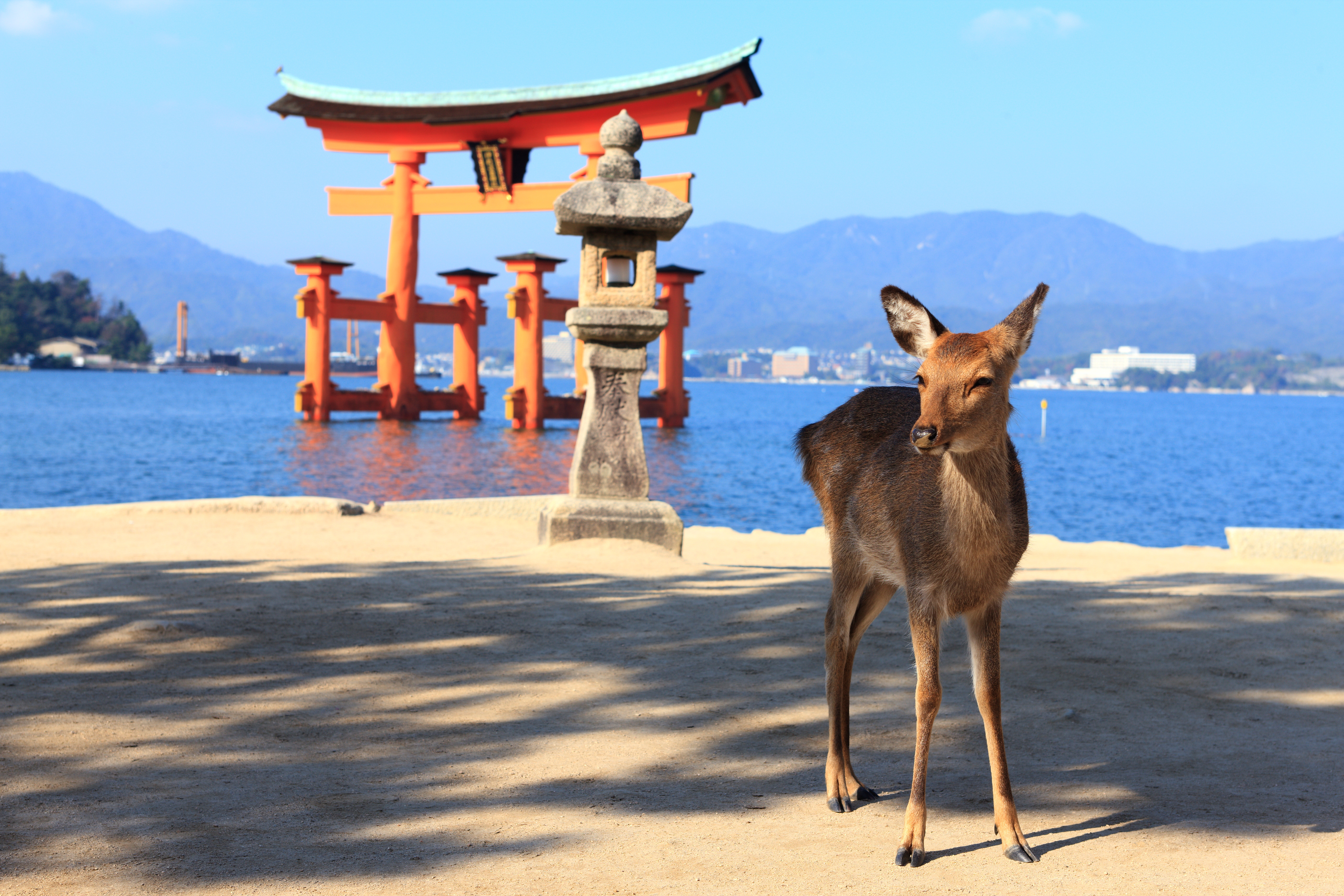 MIYAJIMA