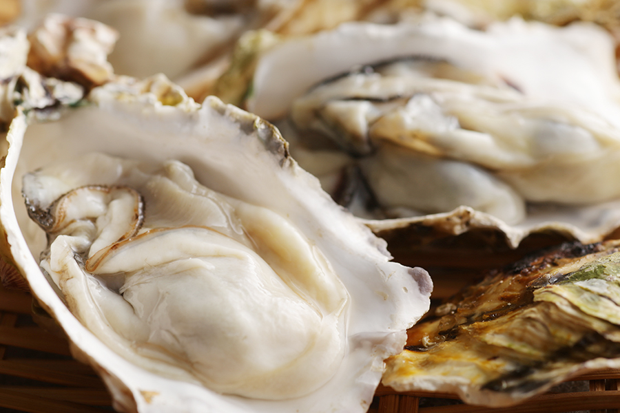 Hiroshima Oyster